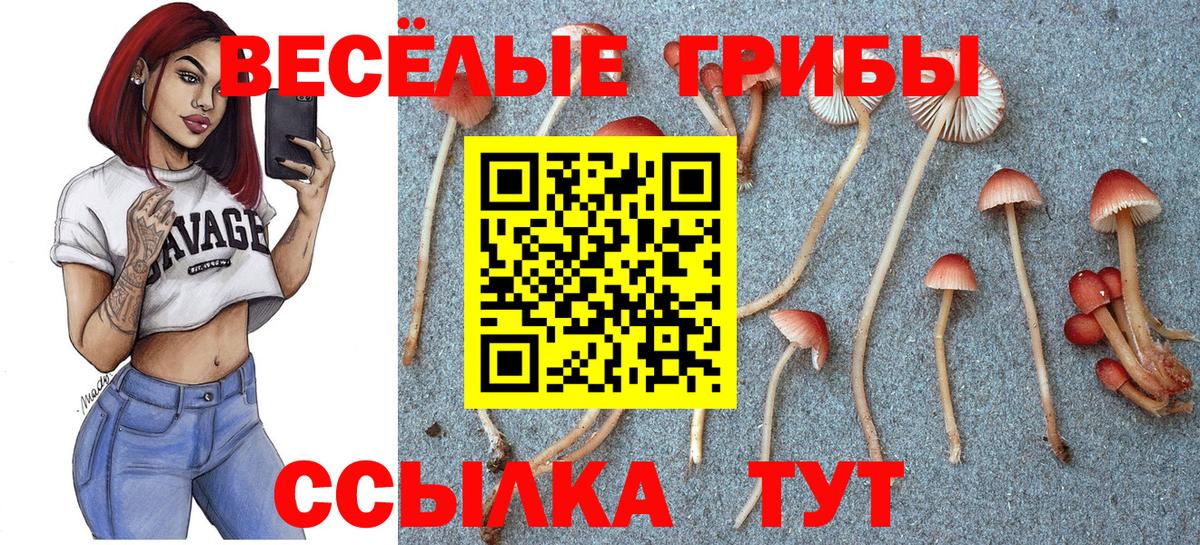 Балашиха  купить закладку  Псилоцибиновые грибы ЛСД  Вход с VPN  Галлюциногенные грибы Psilocybine cubensis 