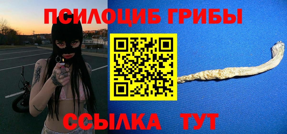 Псилоцибиновые грибы Psilocybe Балашиха